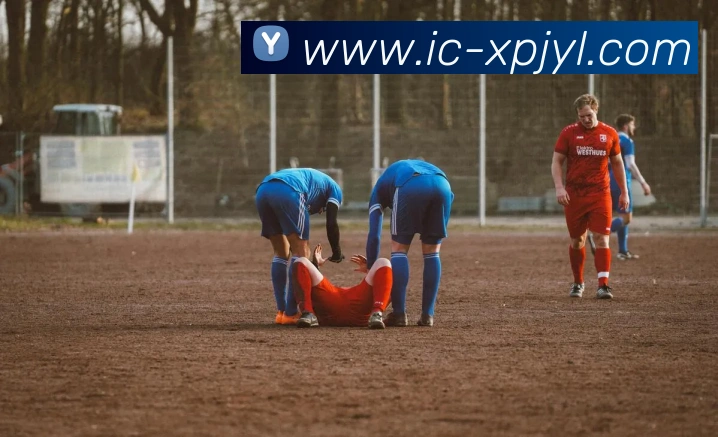 多媒体互动体验